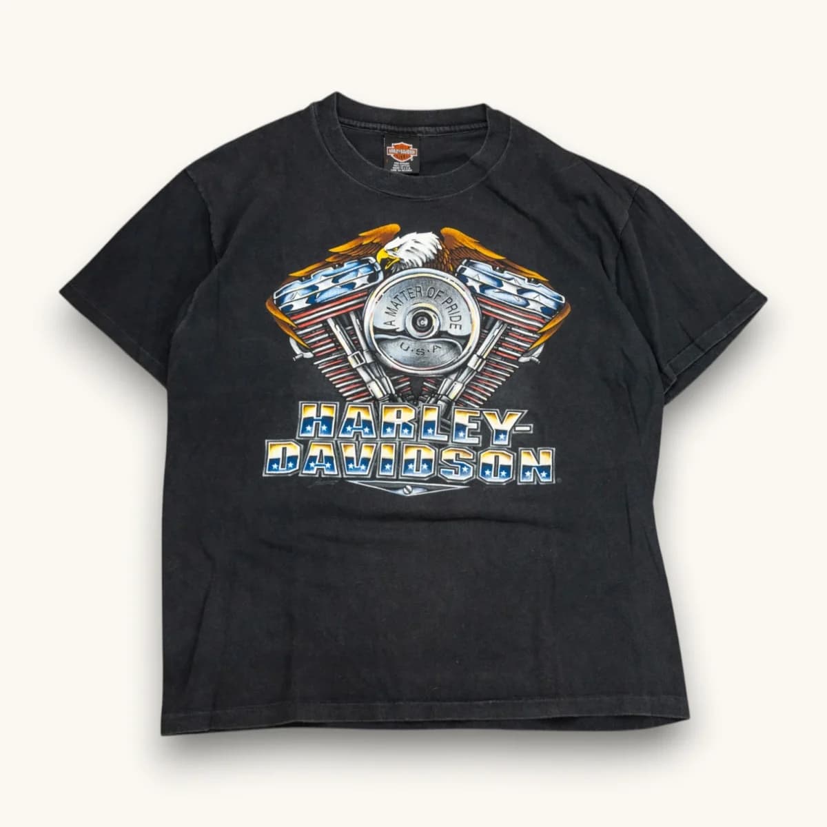 1995 Matter Of Pride V-Twin Harley Davidson alternate view
