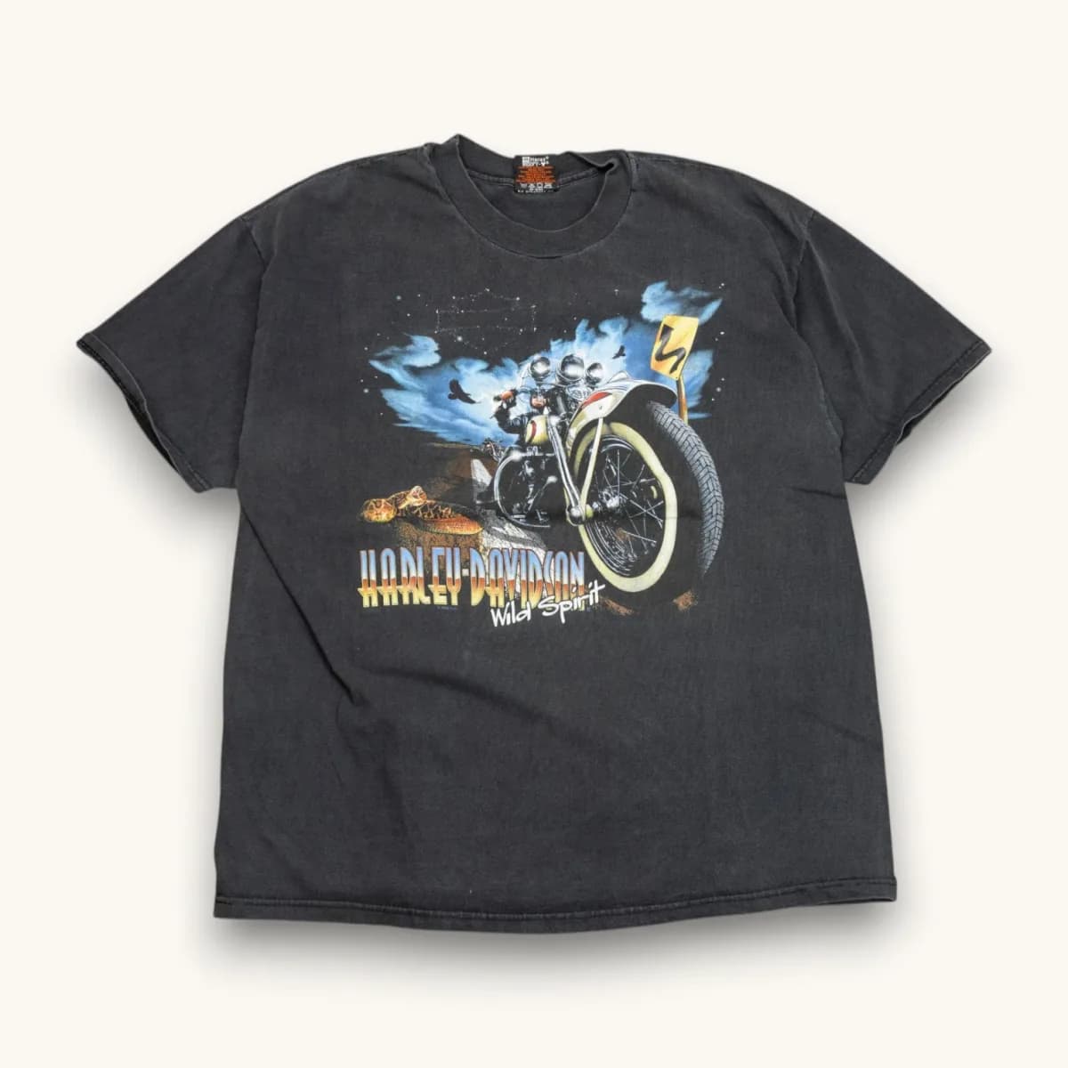 1998 Wild Spirt Harley Davidson alternate view