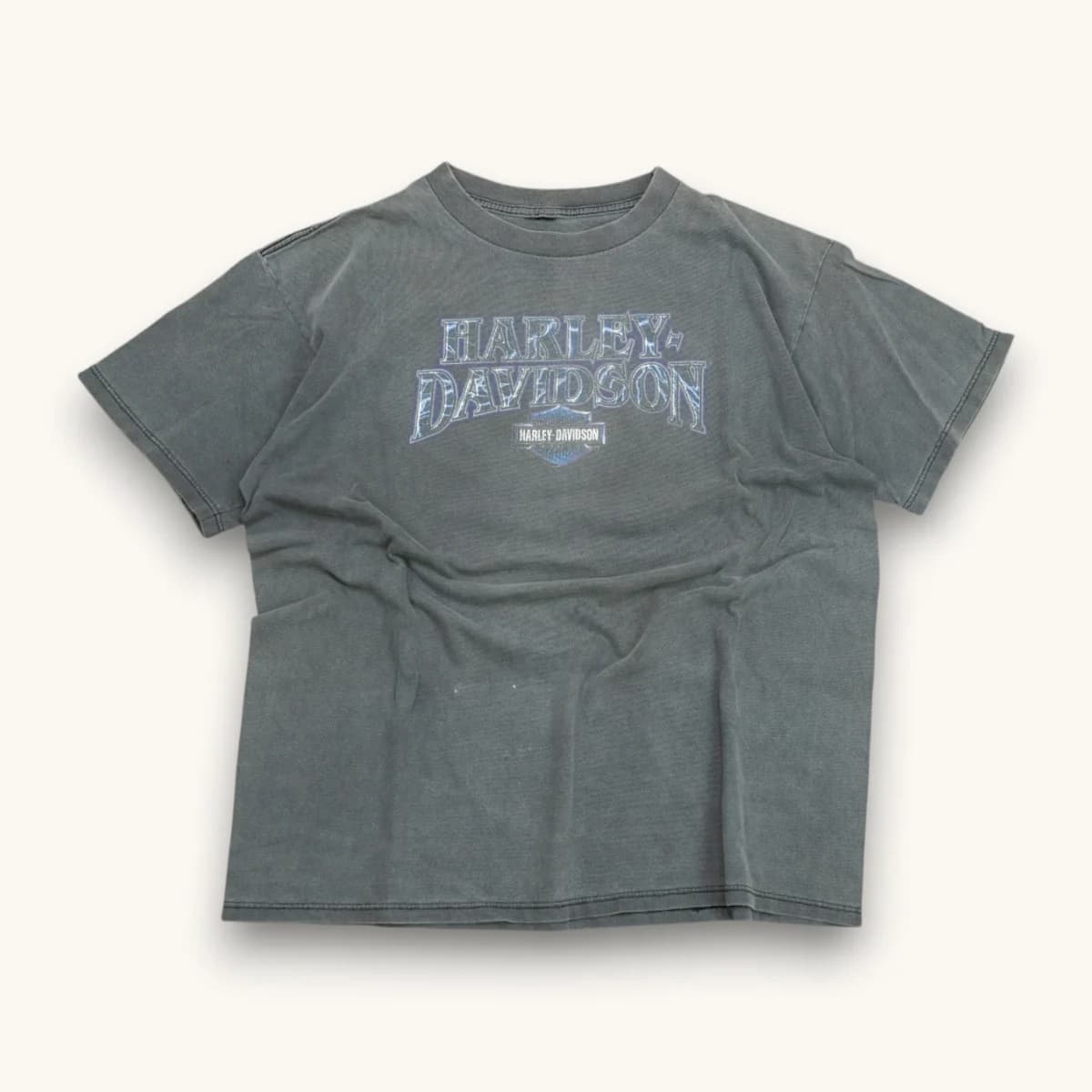 1998 Faded Lighting Spellout Harley Davidson alternate view